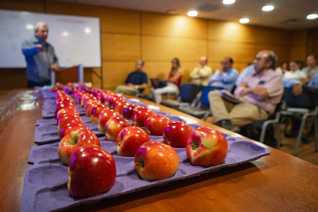 Temperaturas extremas de verano causaron efectos negativos en las manzanas