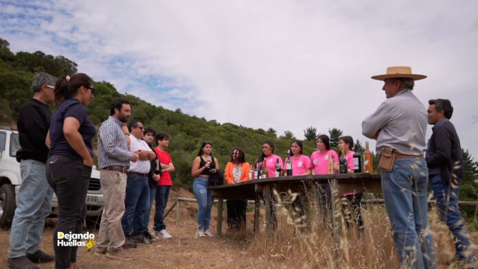 UTalcaTV estrena renovada programación 2024