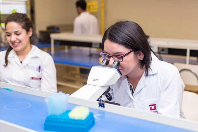 xr:d:DAF6V_i0mck:63,j:8669853949214334921,t:24041219